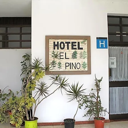 El Pino Teror