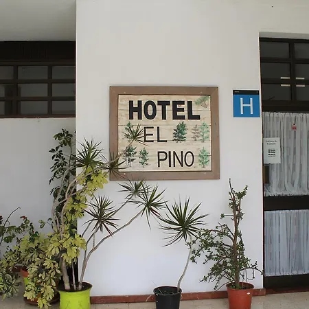 Hotel El Pino 3*